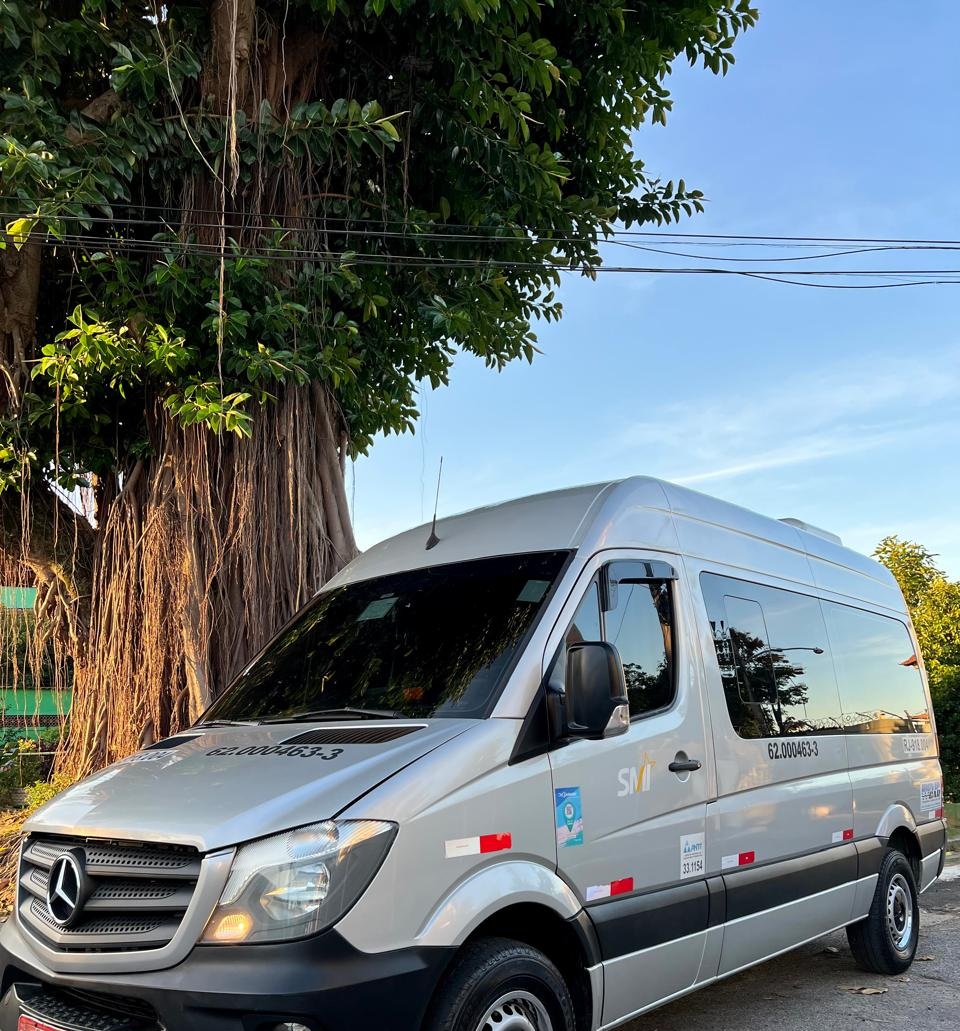 Van Mercedes-Benz prata da Seventy Trans Log estacionada ao lado de uma grande árvore sob luz do dia.